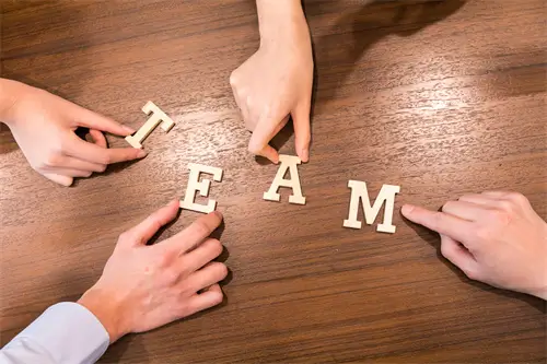 法律审查是什么