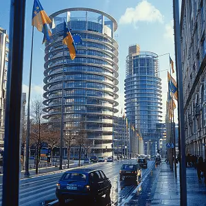 法律82条刑事是什么罪