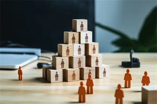 字的笔顺薯怎么写，正确写法详解